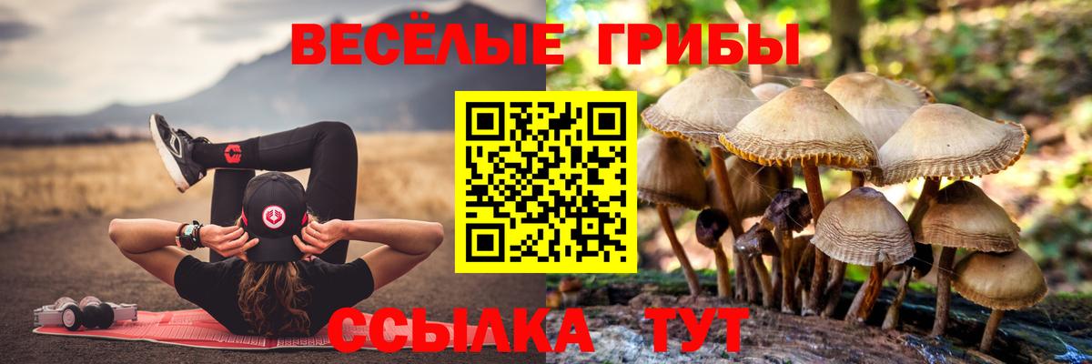 Галлюциногенные грибы MAGIC MUSHROOMS Бийск