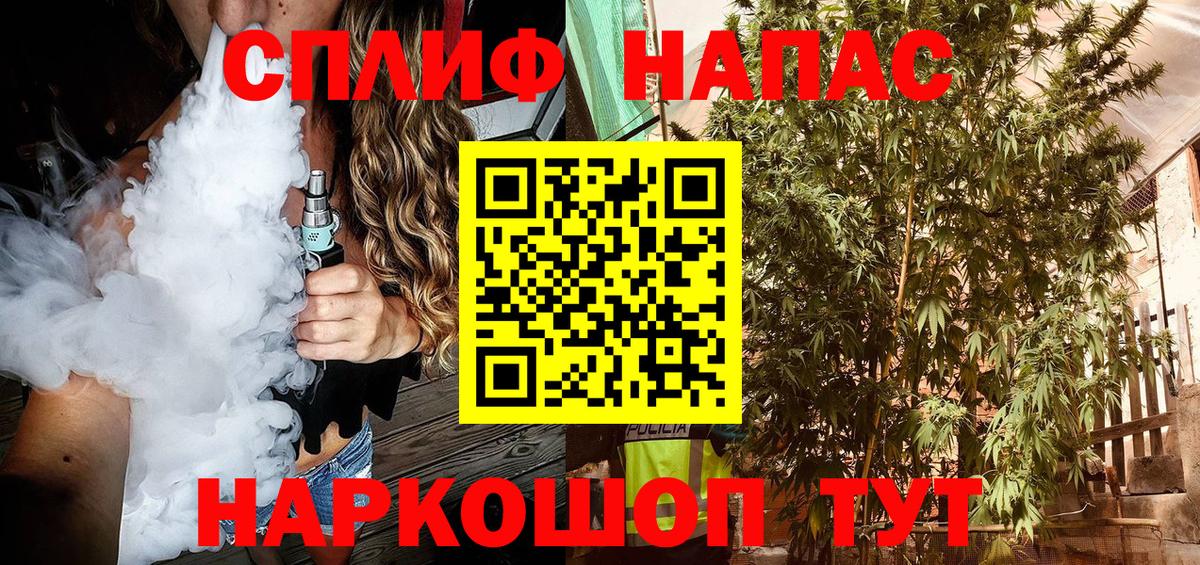 МАРИХУАНА сатива Бийск